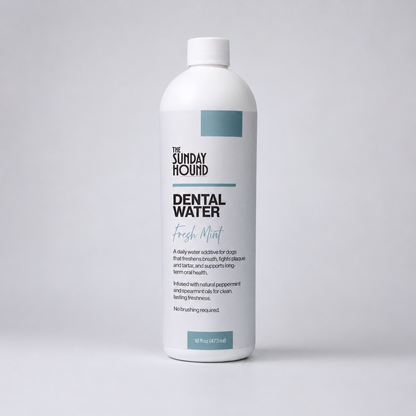 Dental Water · Fresh Mint